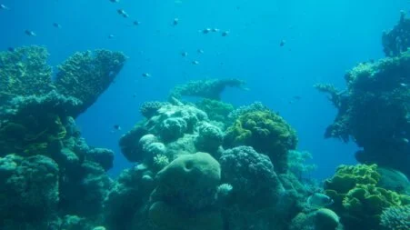 Jérusalem – Ville Sainte, culture sépharade et guide touristique