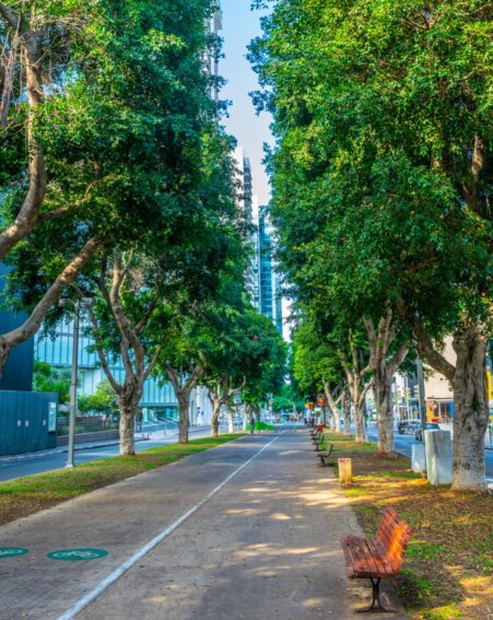 Jérusalem – Ville Sainte, culture sépharade et guide touristique